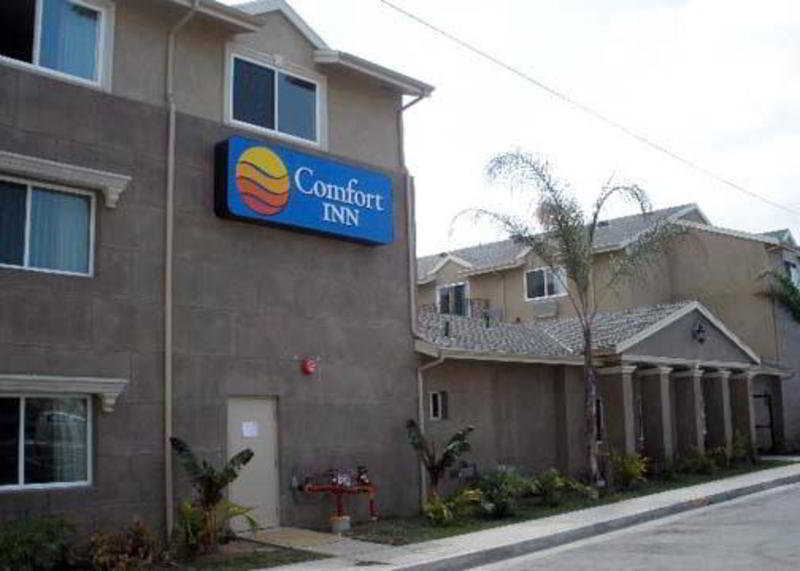 Comfort Inn Cockatoo Near Lax Airport Hawthorne Exterior foto